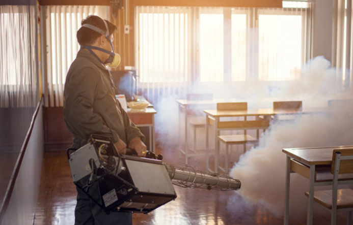 pest control companies